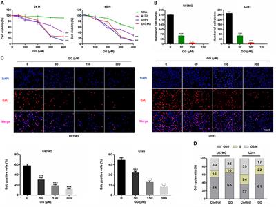 The Natural Flavonoid Galangin Elicits Apoptosis, Pyroptosis, and Autophagy in Glioblastoma